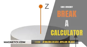 Can Magnets Damage Calculators? Exploring the Impact of Magnetic Fields