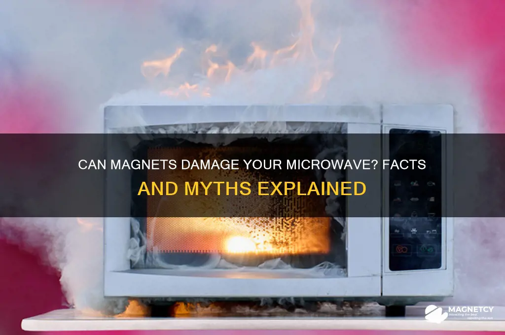 can a magnet break a microwave