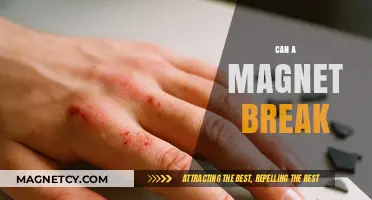 Can Magnets Break? Understanding Magnet Durability and Limitations