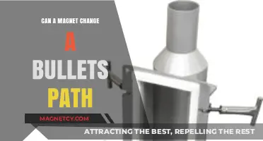 Magnetic Influence: Can Magnets Alter a Bullet's Trajectory?