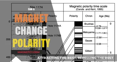 Can Magnets Flip Polarity? Exploring Magnetic Reversal Possibilities