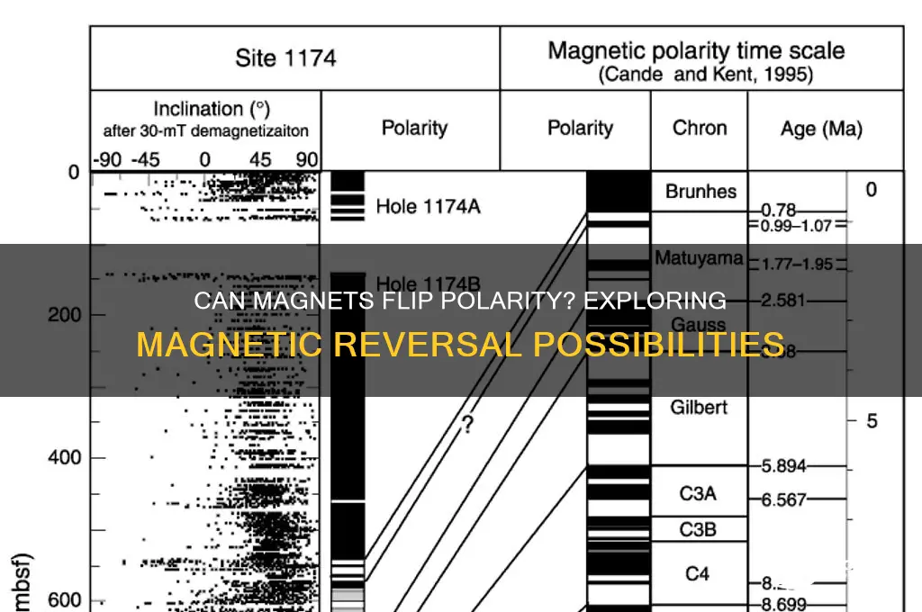 can a magnet change polarity