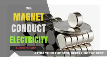 Magnets and Electricity: Exploring Conductivity in Magnetic Materials