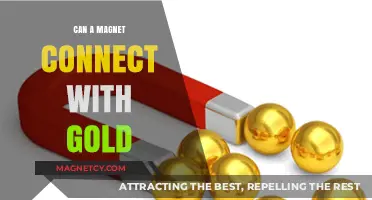 Can Magnets Attract Gold? Unveiling the Truth Behind the Myth