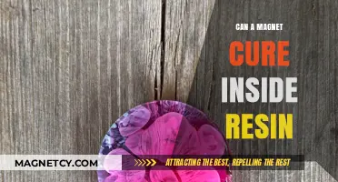 Magnetic Healing in Resin: Fact or Fiction? Exploring the Science