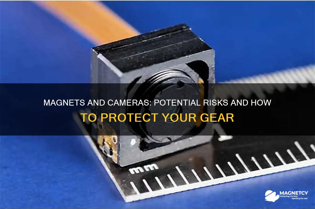 can a magnet damage a camera