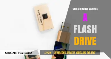 Can Magnets Harm Your Flash Drive? Facts and Myths Explained