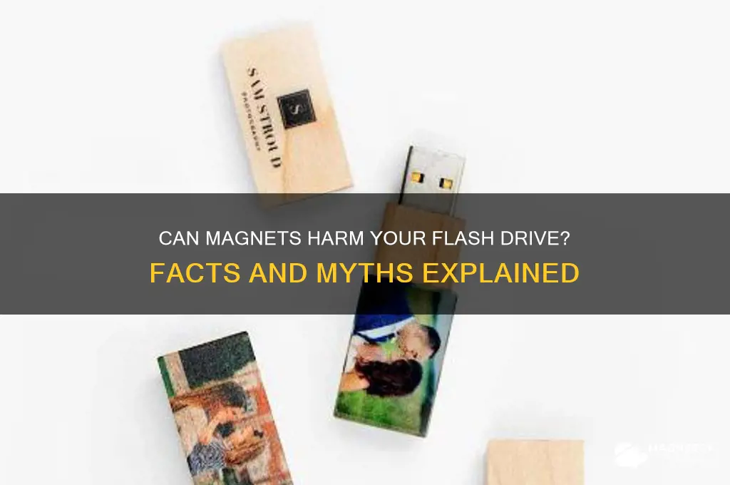 can a magnet damage a flash drive