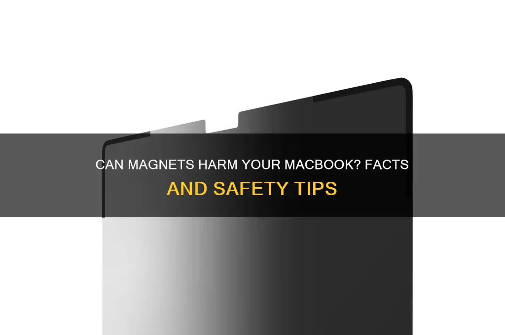 can a magnet damage a macbook