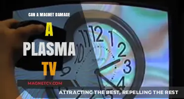 Magnets and Plasma TVs: Potential Risks and Damage Explained