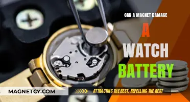 Magnets and Watch Batteries: Potential Damage Explained