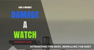 Magnets and Watches: Potential Damage Explained in Simple Terms
