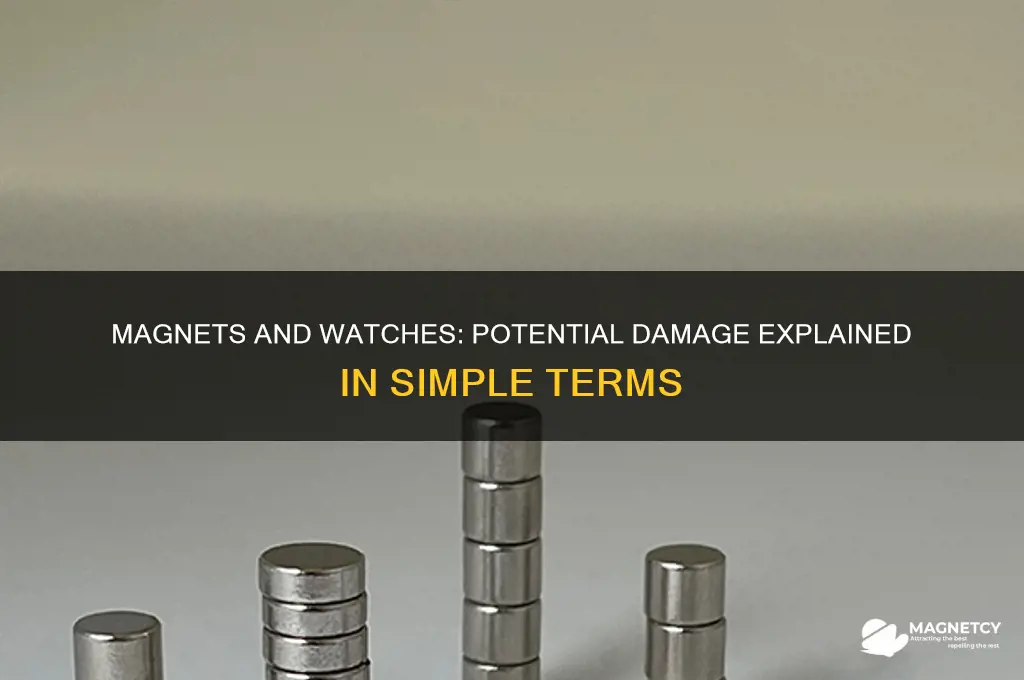 can a magnet damage a watch