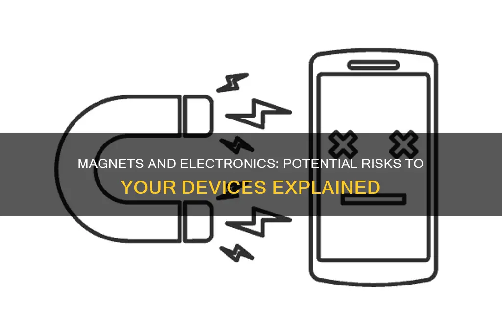 can a magnet damage electronic equipment