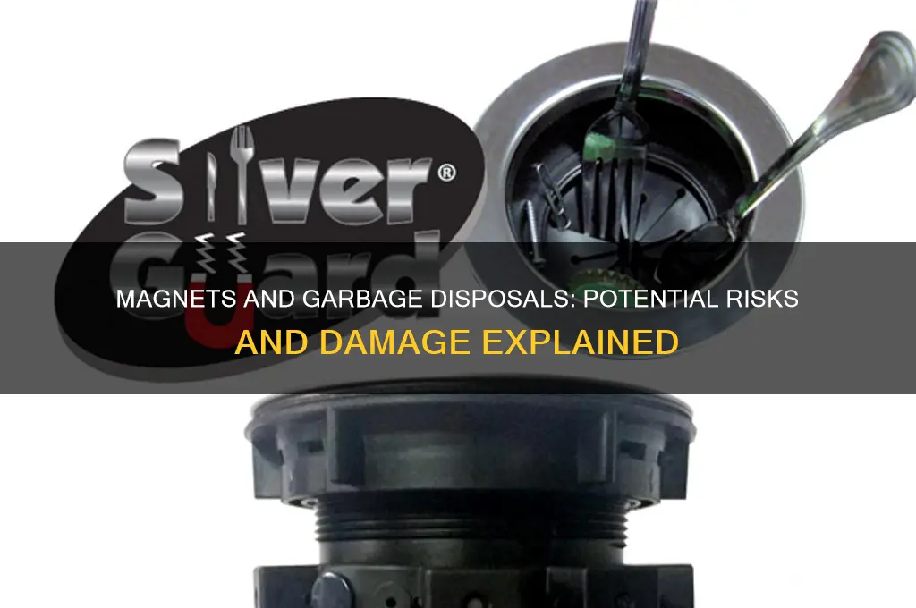 can a magnet damage garbage disposal