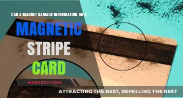 Magnet Risks: Can Magnetic Stripe Cards Lose Data to Magnets?