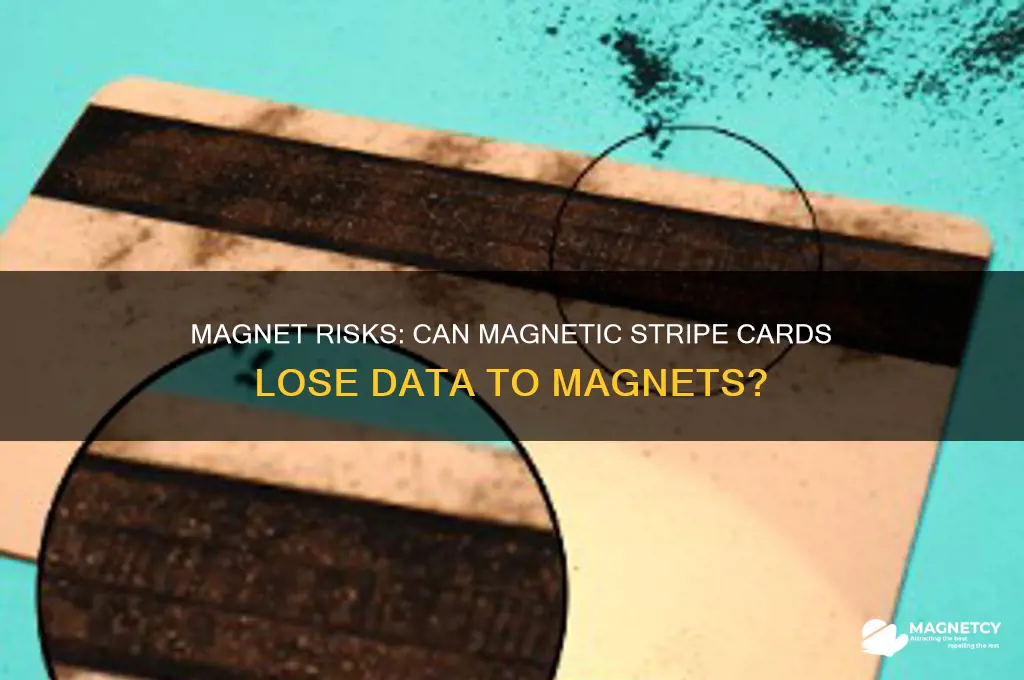can a magnet damage information on a magnetic stripe card