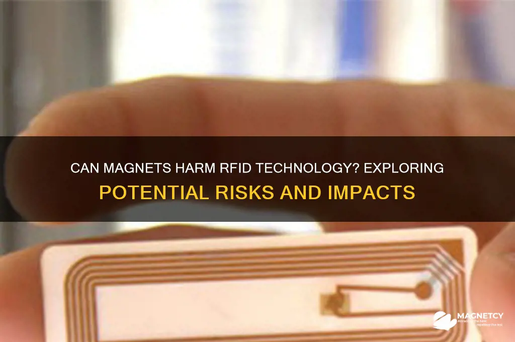can a magnet damage rfid