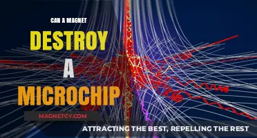 Magnetic Fields vs. Microchips: Can Magnets Cause Chip Damage?