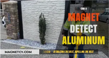 Can Magnets Detect Aluminum? Unveiling the Truth Behind Metal Detection