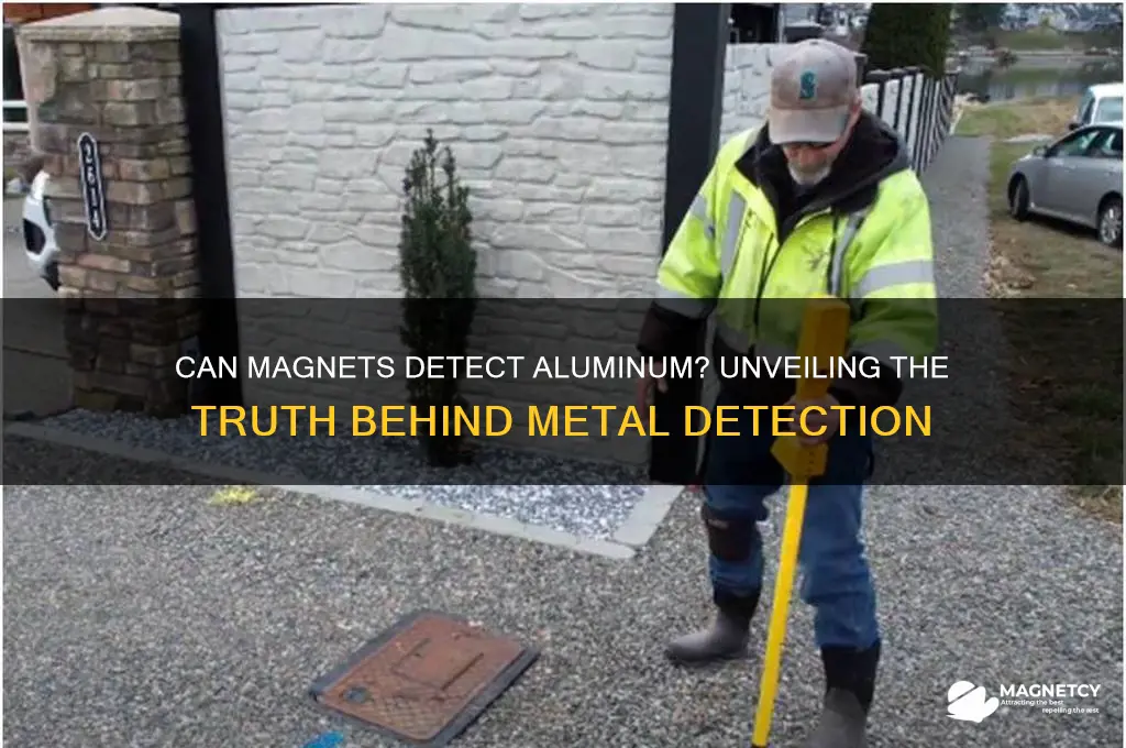 can a magnet detect aluminum