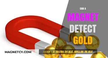 Can Magnets Detect Gold? Unveiling the Truth Behind the Myth