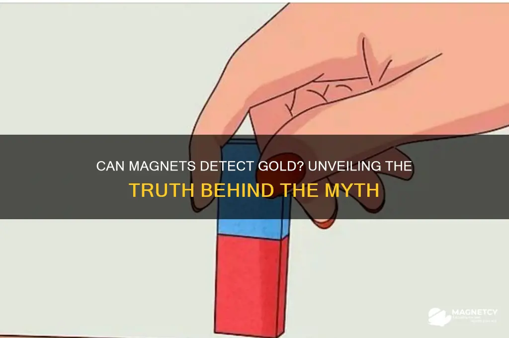 can a magnet detect gold