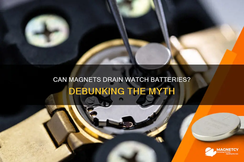 can a magnet drain a watch battery