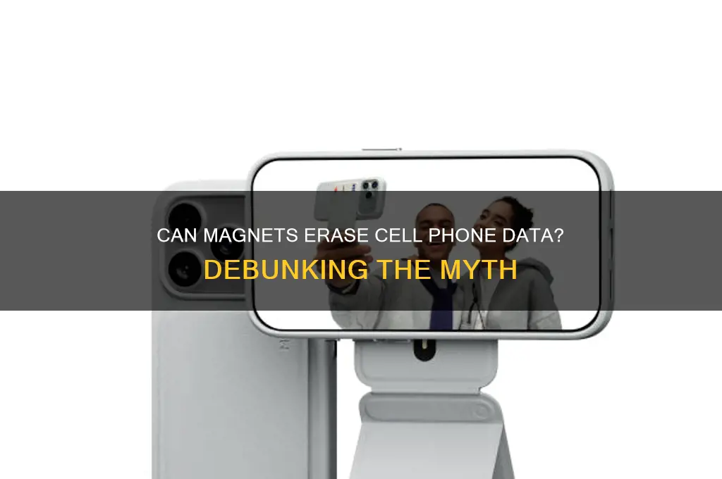 can a magnet erase a cell phone