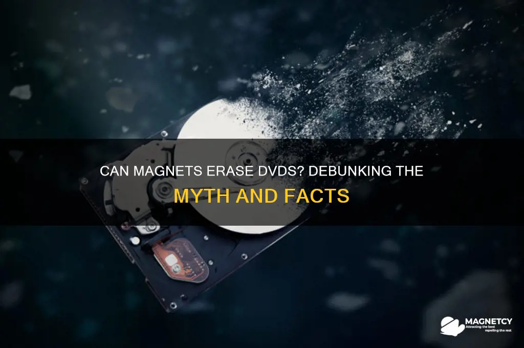 can a magnet erase a dvd