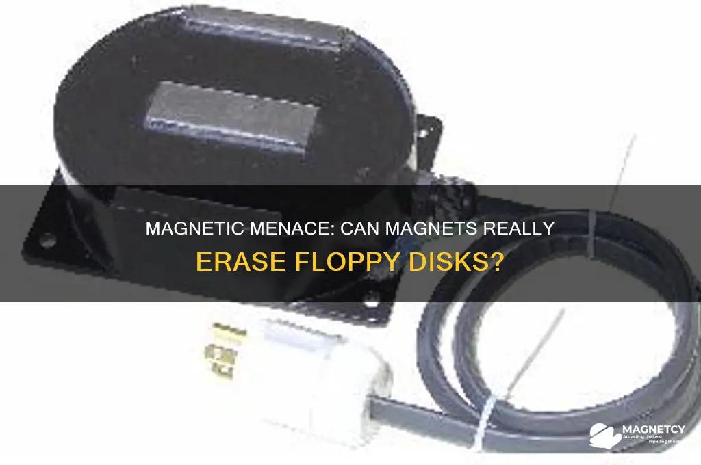 can a magnet erase a floppy disk