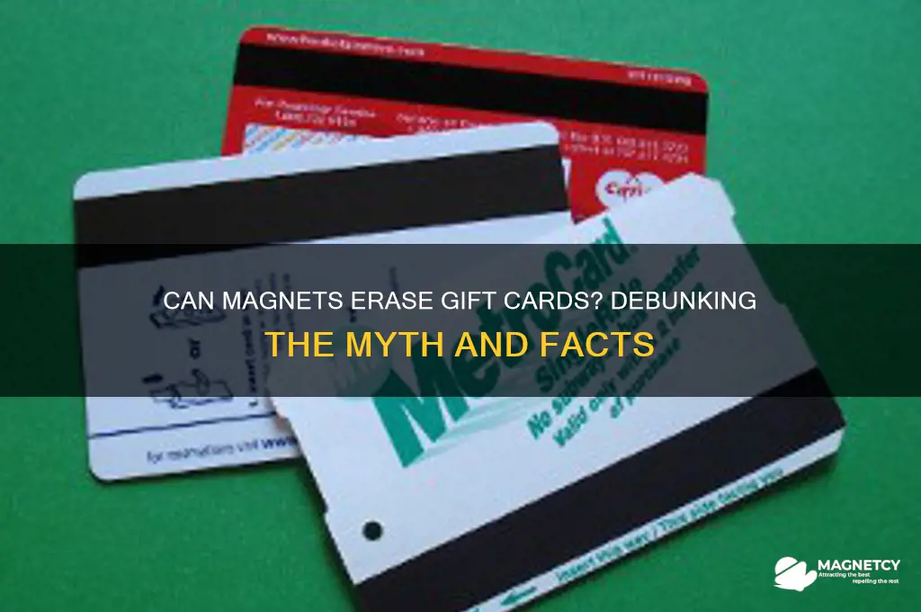 can a magnet erase a gift card