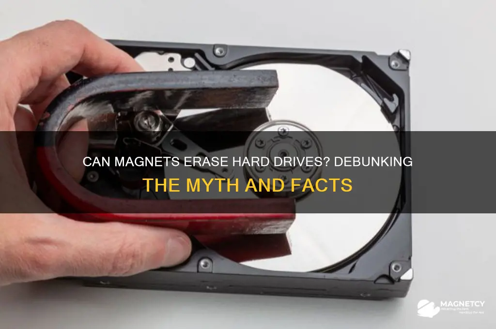 can a magnet erase a hard drive