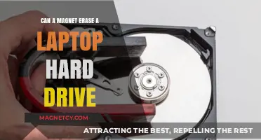 Can Magnets Erase Laptop Hard Drives? Facts vs. Fiction Explained