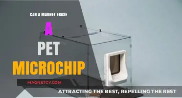 Magnets and Pet Microchips: Debunking the Erasure Myth