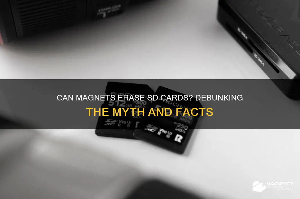 can a magnet erase an sd card
