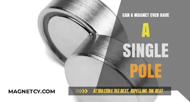 Exploring the Mystery: Can Magnets Exist with a Single Pole?