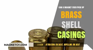 Can Magnets Attract Brass Shell Casings? Unveiling the Truth