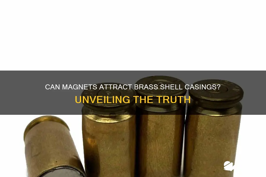 can a magnet ever pick up brass shell casings