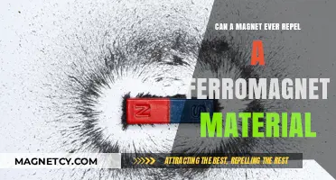 Magnetic Repulsion: Can Magnets Ever Repel Ferromagnetic Materials?