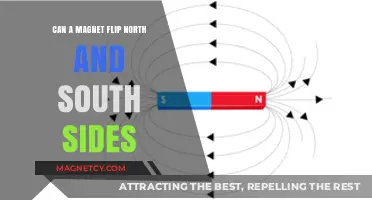 Can Magnets Reverse Polarity? Exploring North and South Flips