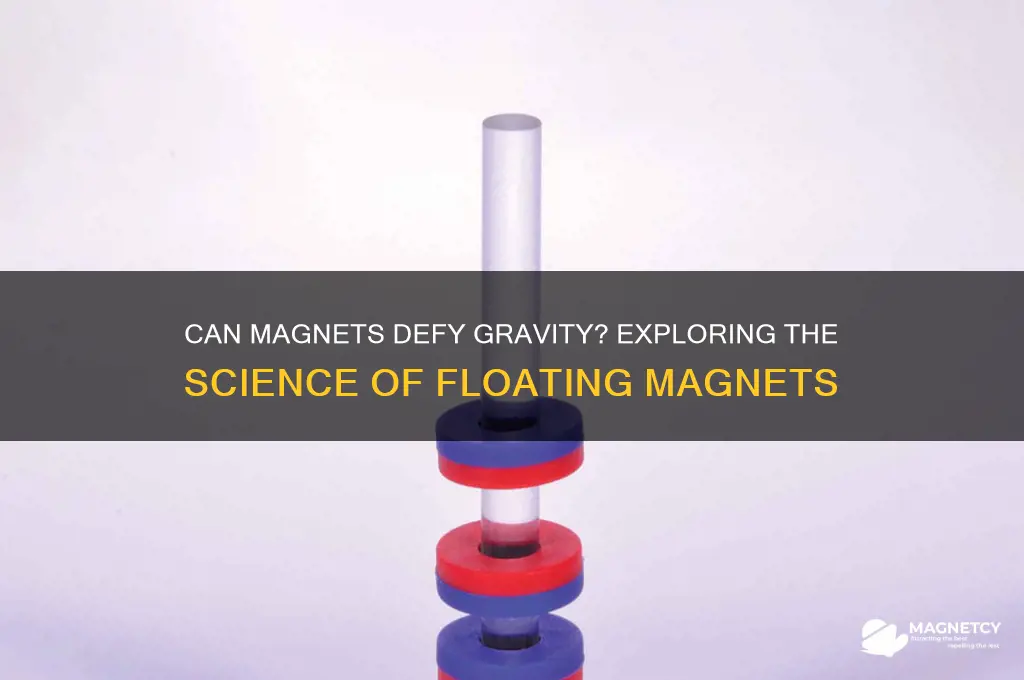 can a magnet float