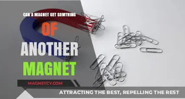 Can Magnets Attract or Repel Objects from Other Magnets?