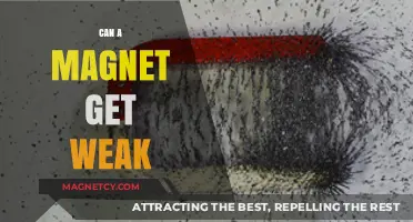 Can Magnets Lose Their Strength? Exploring Magnetic Weakening Factors