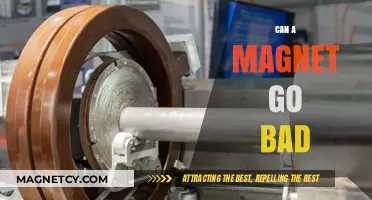 Do Magnets Expire? Exploring the Lifespan and Degradation of Magnets