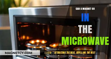 Can Magnets and Microwaves Mix? Exploring the Risky Combination