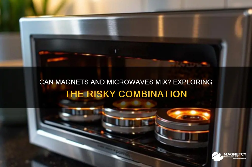 can a magnet go in the microwave