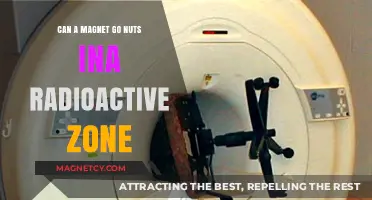 Magnetic Mayhem: Do Magnets Malfunction in Radioactive Environments?
