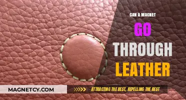 Can Magnets Penetrate Leather? Exploring Magnetic Fields and Material Interactions