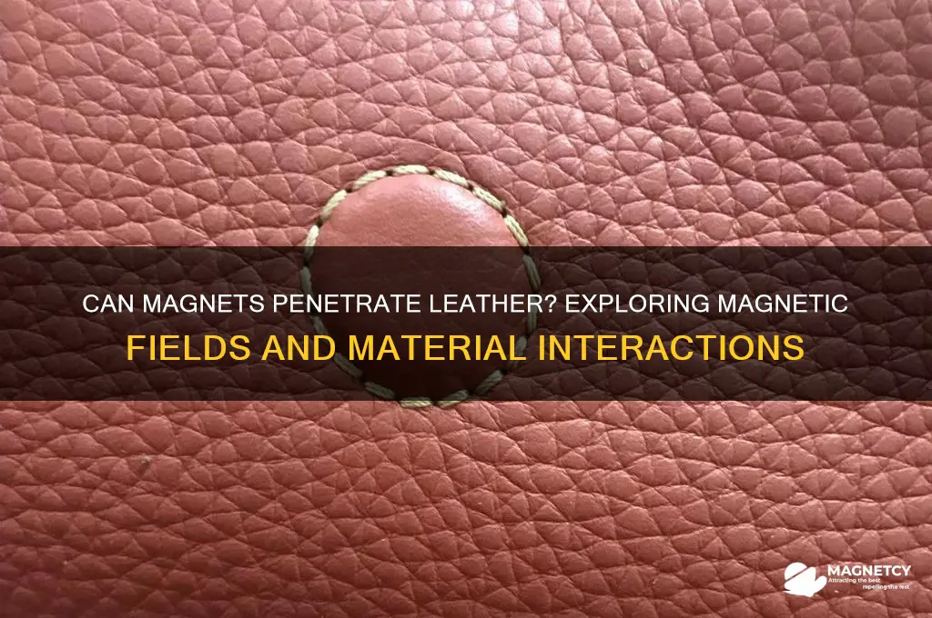 can a magnet go through leather